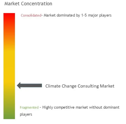 Climate Change Consulting Market Concentration